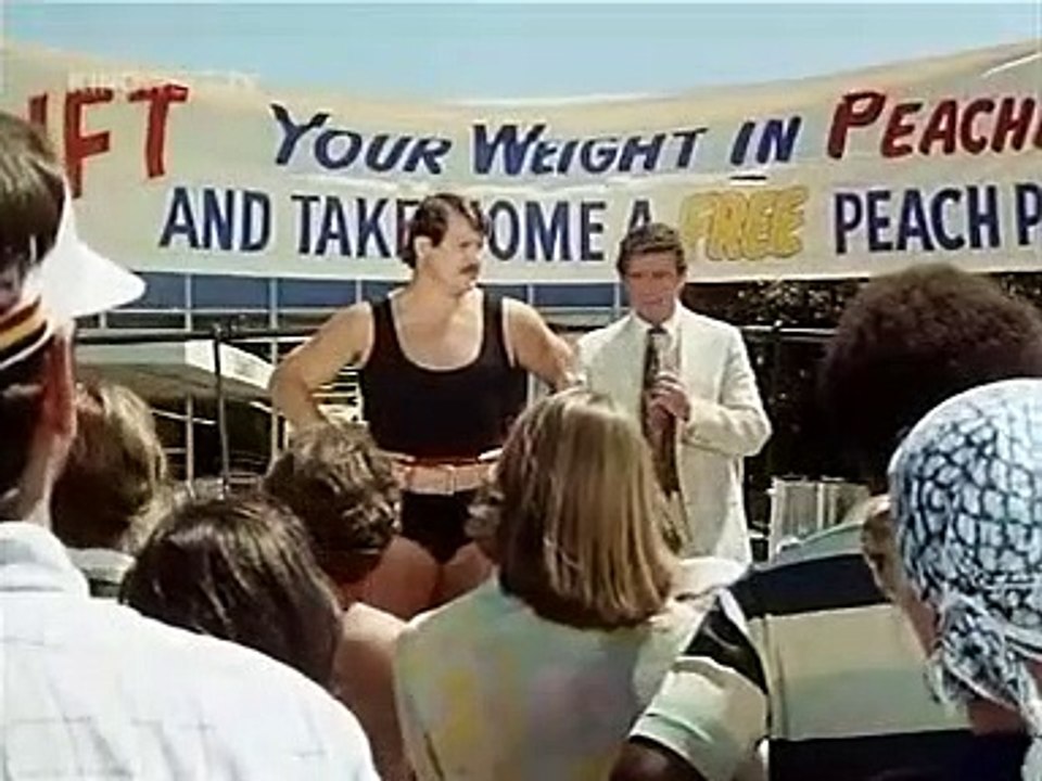 Mad Bull-Der Supercatcher