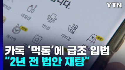 '먹통 방지법' 만든다지만..."소 잃고 외양간 고치기" / YTN