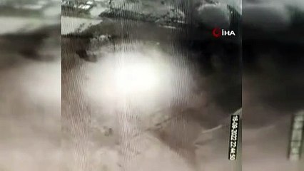 7’nci kattan aşağı düşen 'Lokum' hayatta kalmayı başardı