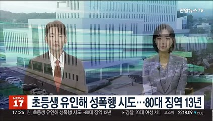 초등생 유인해 성폭행 시도…80대 징역 13년