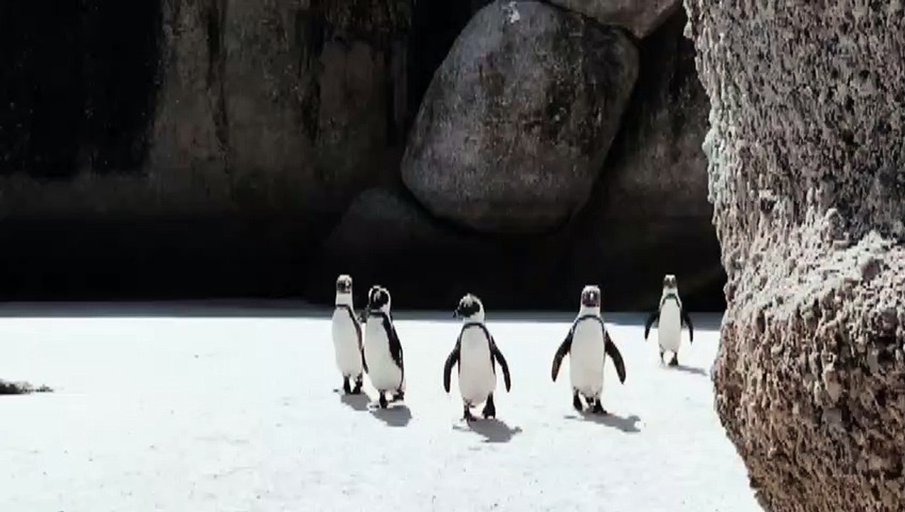 HELLUVA BOSS - SEEING STARS