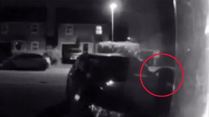 Doorbell camera captures 'panther' walking down Cheshire street