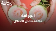 كيف تتحدى فاكهة الجوافة الاحتلال في قلقيلية؟