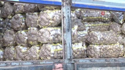 İstanbul'daki hallerde patates ve soğan bolluğu