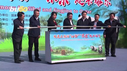 Ceremony Held For Traveling Pandas