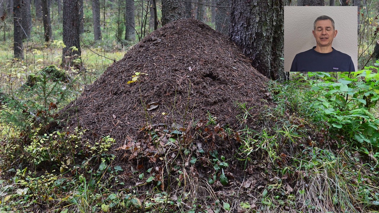 Agilität 02 - Konzept und Ergebnisse