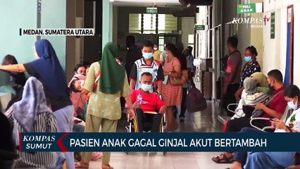 Download Video: Data Sementara Kasus Gagal Ginjal Akut di Sumut, 2 Sembuh, 3 Dirawat, 7 Meninggal