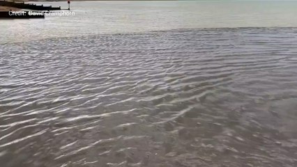Murky water captured flowing into sea in Whitstable