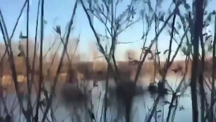 Yunanistan sınır birlikleri göçmenleri darbederek Türkiye'ye göndermeye devam ediyor (2)