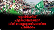 പാണക്കാട് മുനവ്വറലി ശിഹാബ് തങ്ങളുടെ നേതൃത്വത്തിൽ പുതിയ സംഘടന