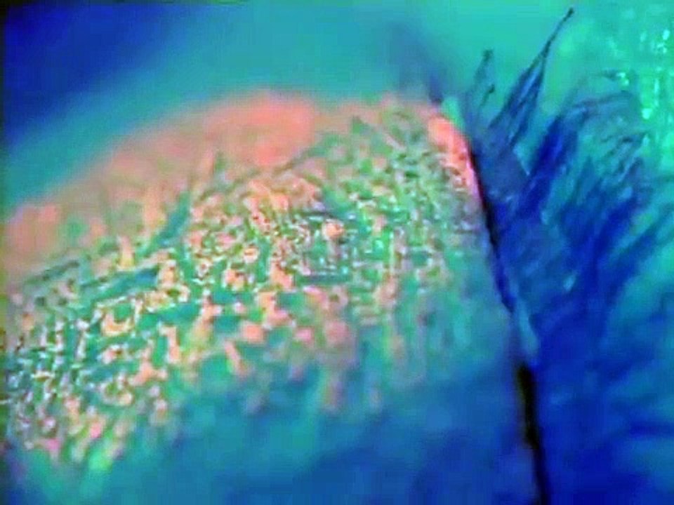 Profiler - Se1 - Ep03 HD Watch HD Deutsch