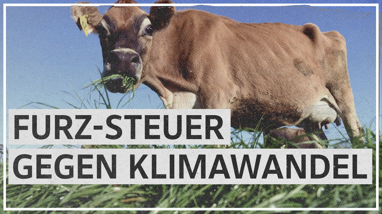 Neuseeland: Proteste gegen 'Rülps- und Furz'-Steuer