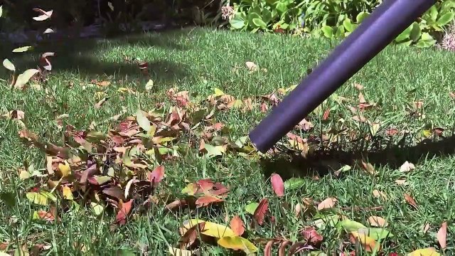 Absurd Planet - Se1 - Ep08 HD Watch HD Deutsch