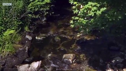 Requiem - Se1 Episode5 HD Watch HD Deutsch