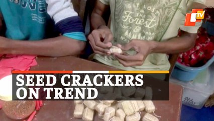 This Diwali Help Farmers By Using Seed Crackers !