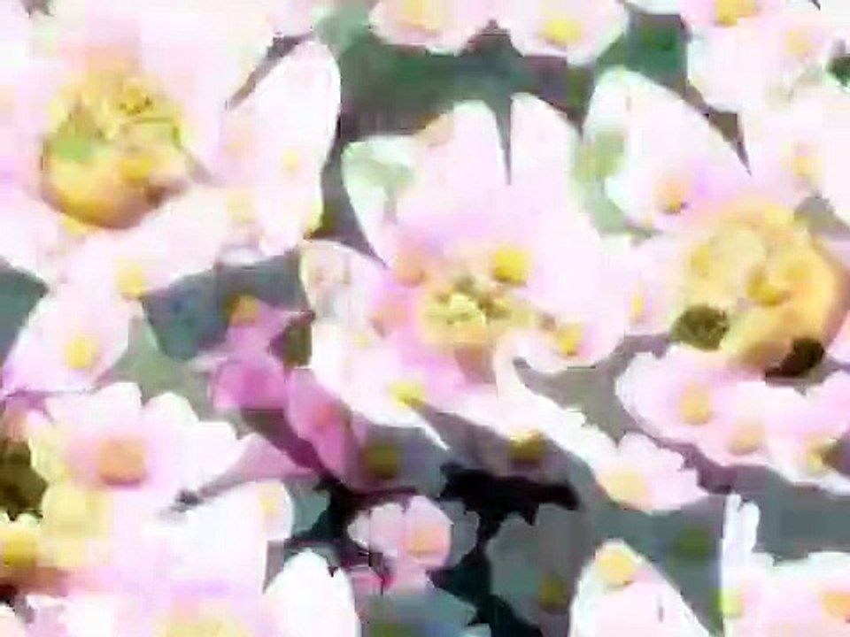 Ai Yori Aoshi - Ep03 HD Watch HD Deutsch