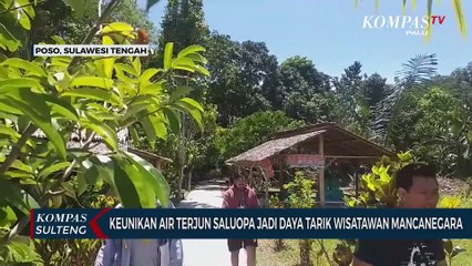 Download Video: Keunikan Air Terjun Saluopa Jadi Daya Tarik Wisatawan Mancanegara