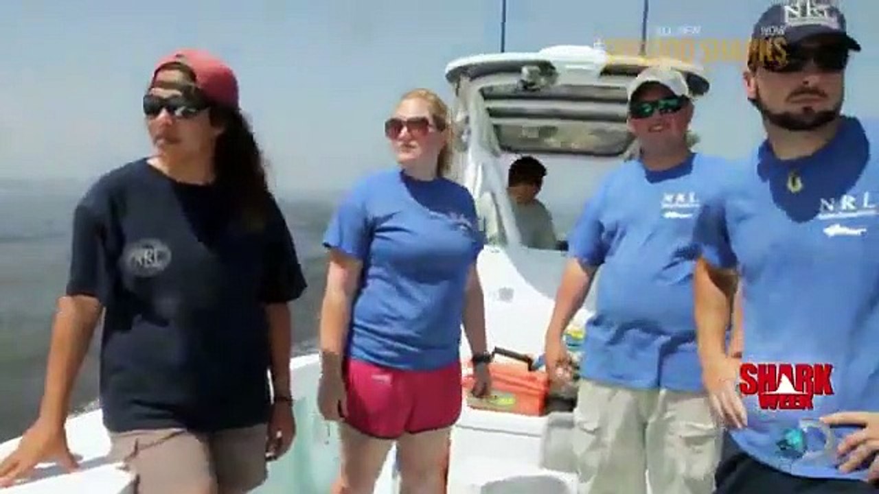 Shark Week - Se26 - Ep04 HD Watch HD Deutsch