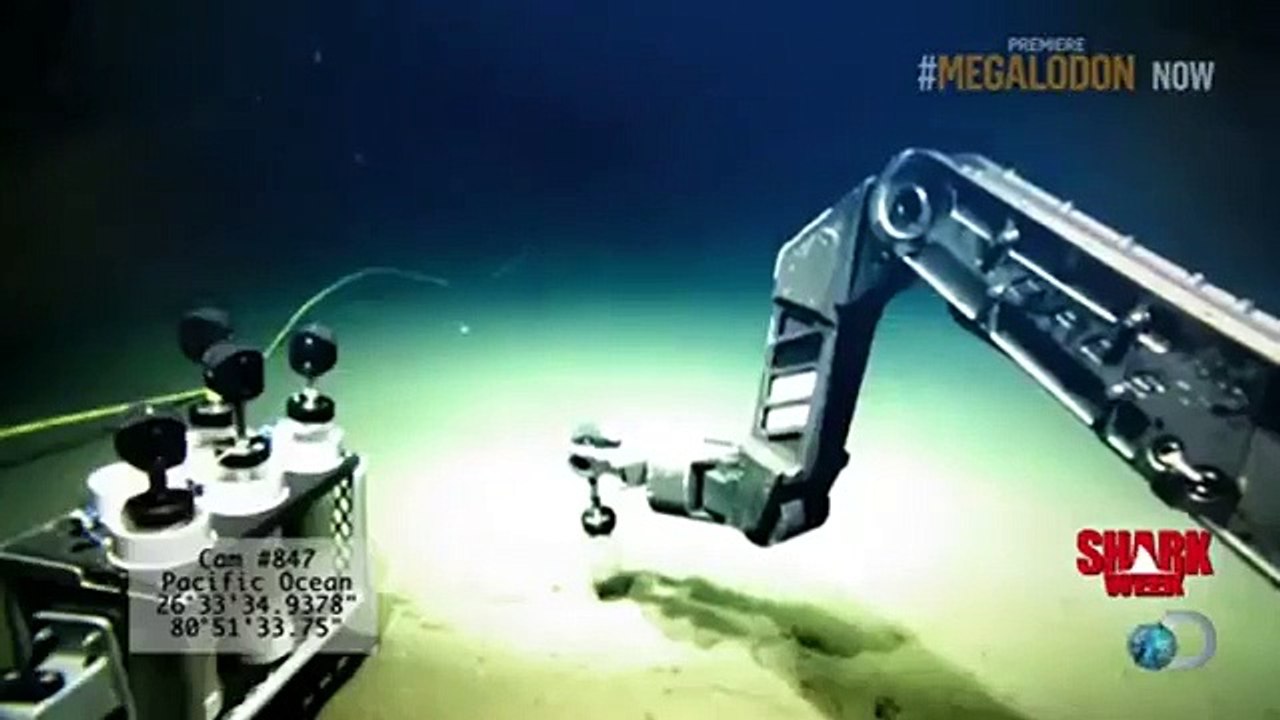 Shark Week - Se26 - Ep01 HD Watch HD Deutsch