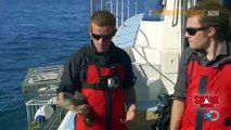 Shark Week - Se26 - Ep08 HD Watch HD Deutsch