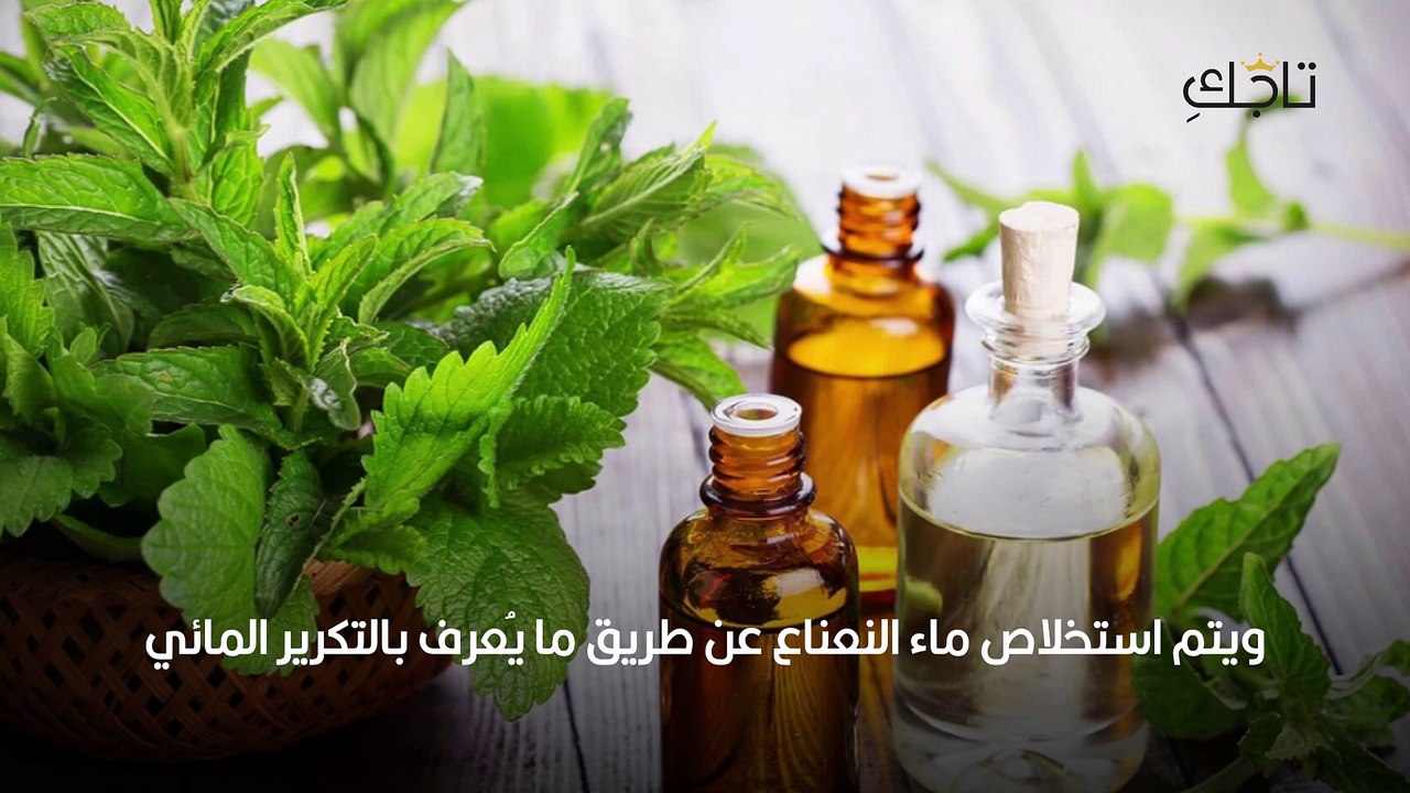 ماء النعناع للشعر