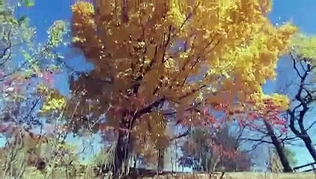 Bryan Inc. - Se1 - Ep01 HD Watch HD Deutsch