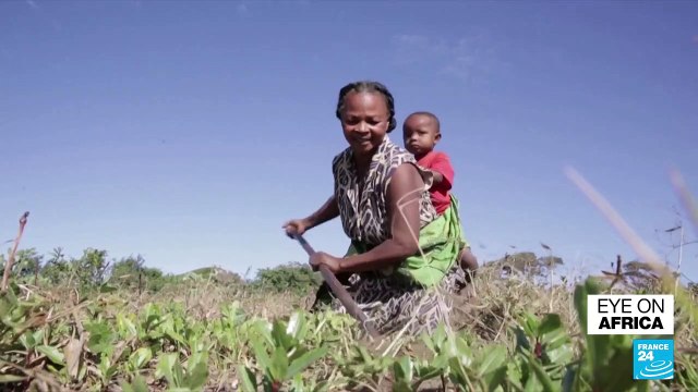 Villagers scramble for clean water in drought-hit Southern Madagascar