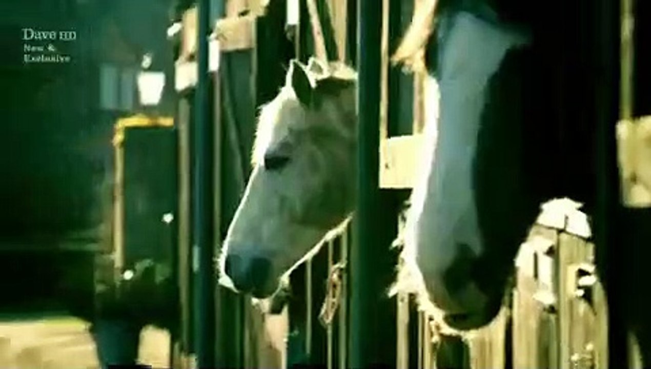 Taskmaster - Se1 - Ep01 HD Watch HD Deutsch