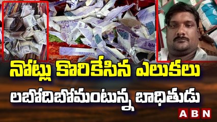 నోట్లు కొరికేసిన ఎలుకలు… లబోదిబోమంటున్న బాధితుడు || ABN Telugu