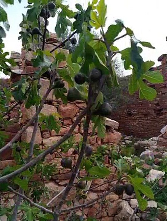 Ait bou Ali tidili massfioua Marrakech morocco3