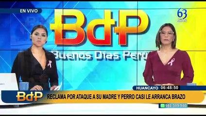 Ate: Perros sin bozal atacan a niño de 3 años y le arrancan el cuero cabelludo