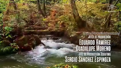 Mi Secreto Cap 29 Completo