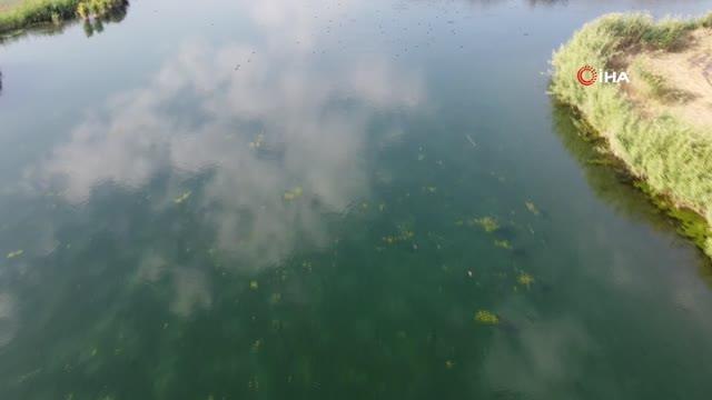 Ağrı gündem haberi: Ağrı Dağı milli parkında sonbahar güzelliği