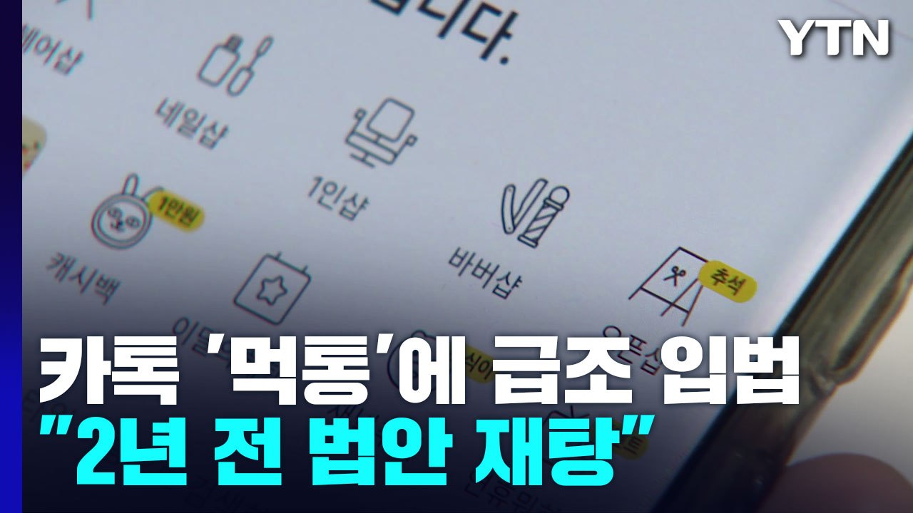 '먹통 방지법' 만든다지만..."소 잃고 외양간 고치기" / YTN