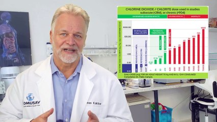 Was ist CDL? Kurze Erklärung