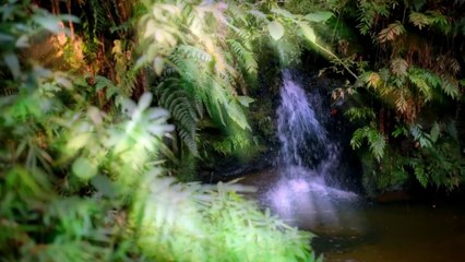 pexels-lucas-pezeta-5222590