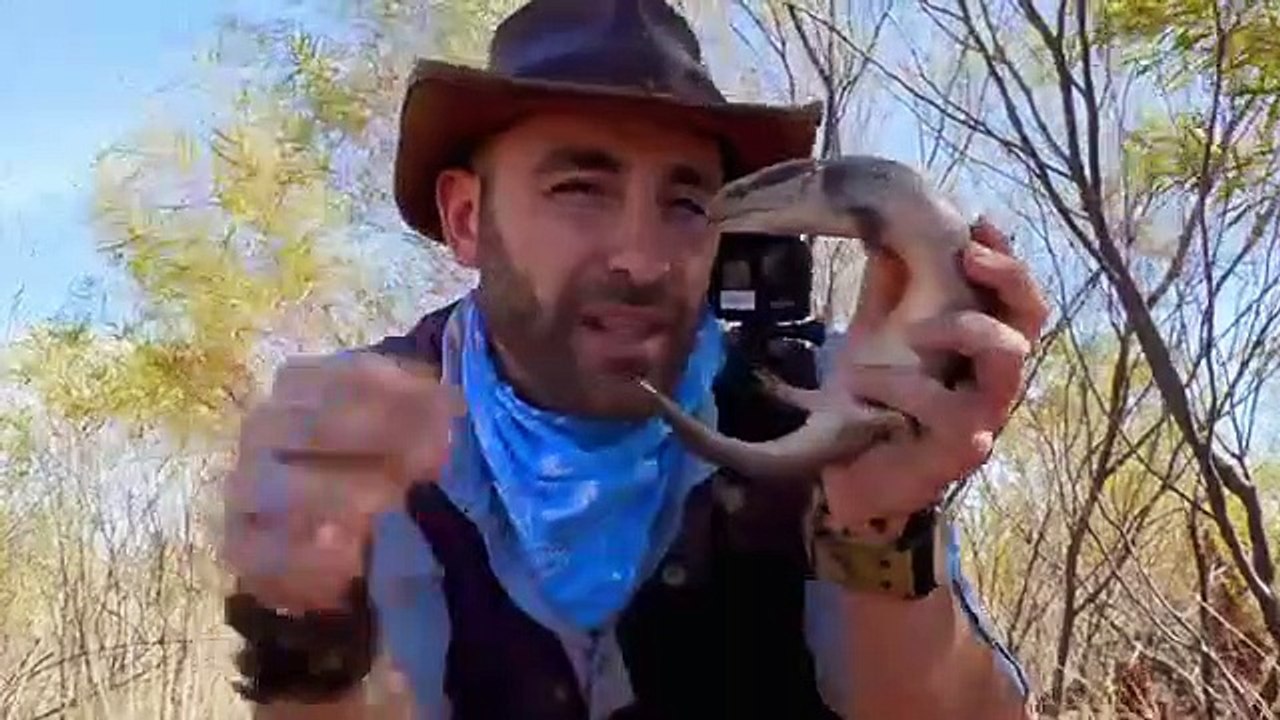 Coyote Peterson - Brave the Wild - Se1 - Ep09 HD Watch HD Deutsch