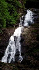 pexels-mehmet-ali-turan-8830448