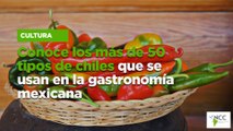 Conoce los más de 50 tipos de chiles que se usan en la gastronomía mexicana