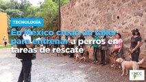 En México crean un taller para entrenar a perros en tareas de rescate