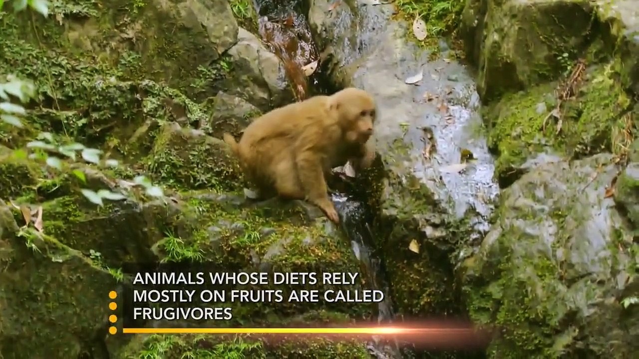 Earth Odyssey with Dylan Dreyer - Se1 - Ep04 - China HD Watch HD Deutsch