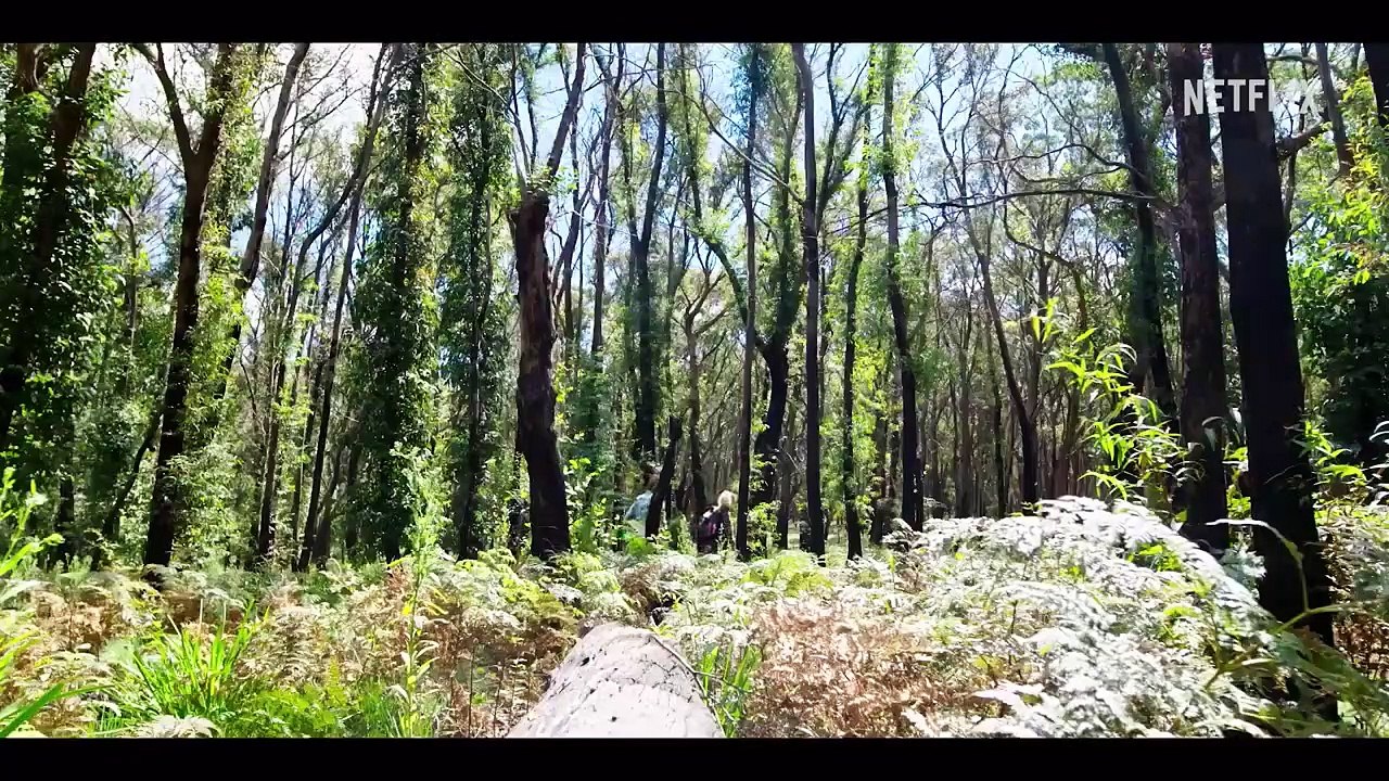 Les pieds sur Terre avec Zac Efron - saison 2 Teaser VO