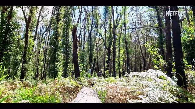 Les pieds sur Terre avec Zac Efron - saison 2 Teaser VO