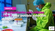 Un tratamiento con células CAR-T, una posible solución al lupus