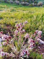 Ait bou Ali tidili massfioua Marrakech morocco2