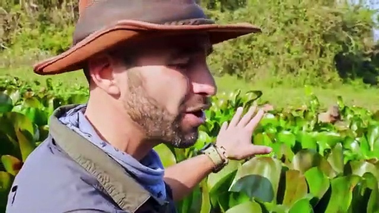 Coyote Peterson - Brave the Wild - Se1 - Ep03 HD Watch HD Deutsch