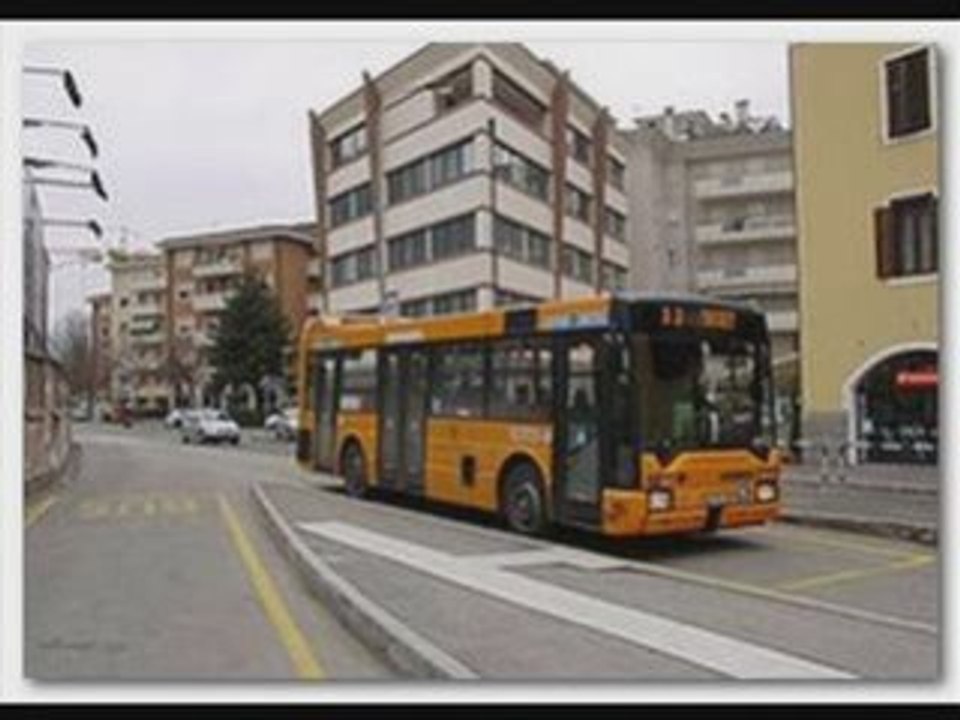 Elezioni 2008 V Municipio di Roma candidato politico