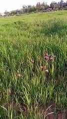 Ait bou Ali tidili massfioua Marrakech morocco14