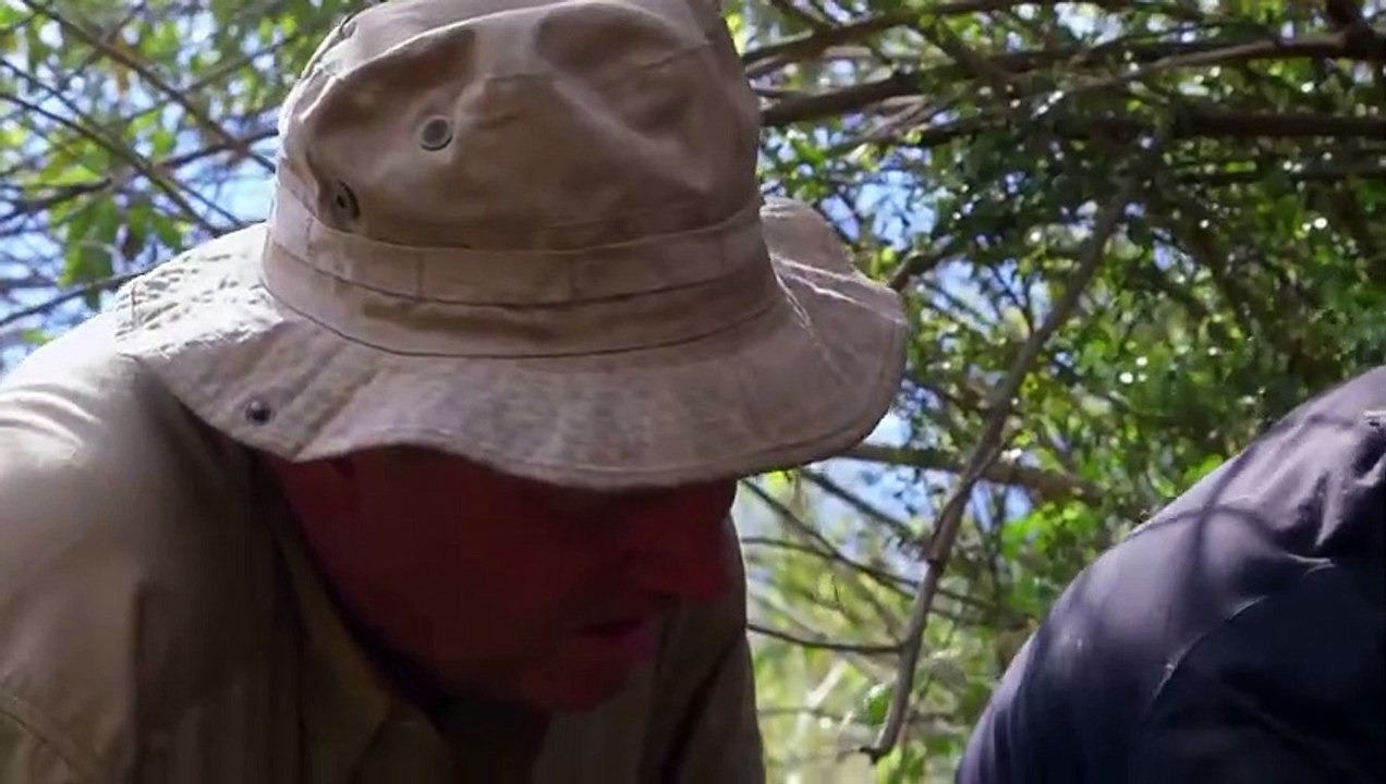 Treasure Quest - Snake Island - Se3 - Ep03 - Death Trap HD Watch HD Deutsch