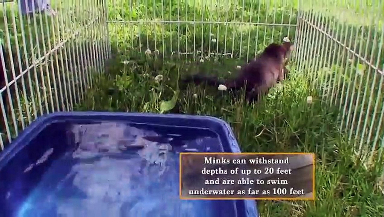 Hope in the Wild - Se1 - Ep02 HD Watch HD Deutsch